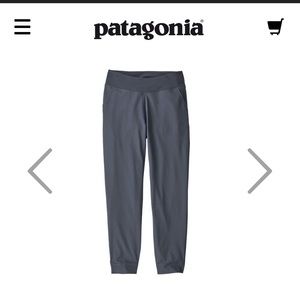 Patagonia Hiking Pants